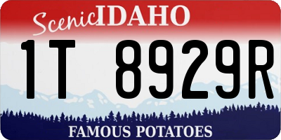 ID license plate 1T8929R
