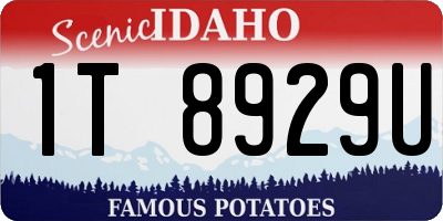 ID license plate 1T8929U