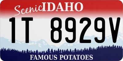 ID license plate 1T8929V