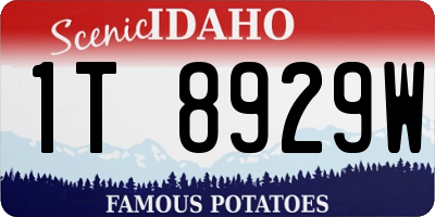 ID license plate 1T8929W