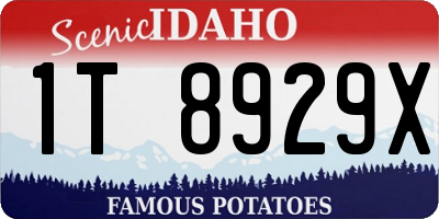ID license plate 1T8929X