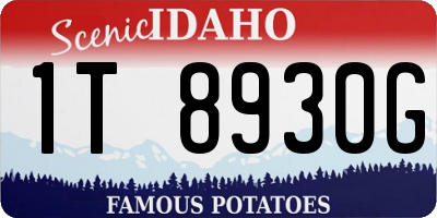 ID license plate 1T8930G