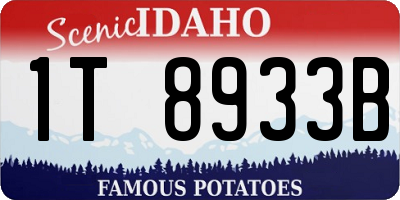 ID license plate 1T8933B
