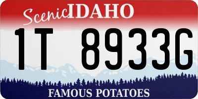 ID license plate 1T8933G
