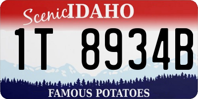 ID license plate 1T8934B