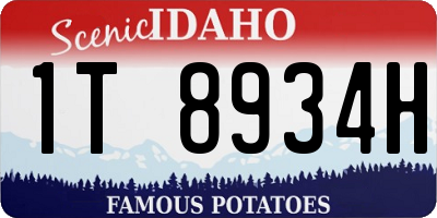 ID license plate 1T8934H