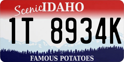 ID license plate 1T8934K