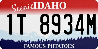 ID license plate 1T8934M
