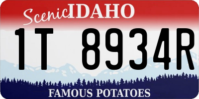ID license plate 1T8934R