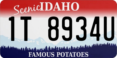 ID license plate 1T8934U