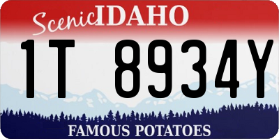 ID license plate 1T8934Y