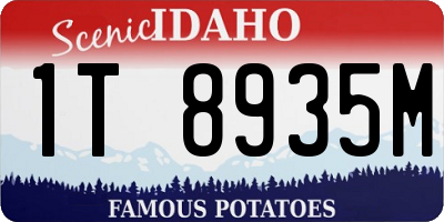 ID license plate 1T8935M