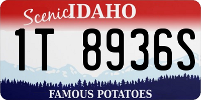 ID license plate 1T8936S