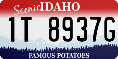 ID license plate 1T8937G