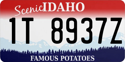 ID license plate 1T8937Z