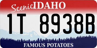 ID license plate 1T8938B