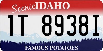 ID license plate 1T8938I