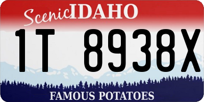 ID license plate 1T8938X