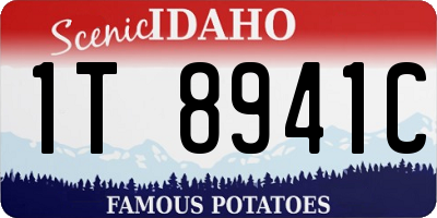 ID license plate 1T8941C