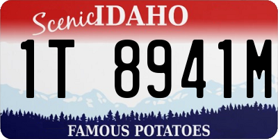 ID license plate 1T8941M