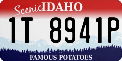 ID license plate 1T8941P