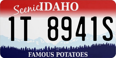 ID license plate 1T8941S