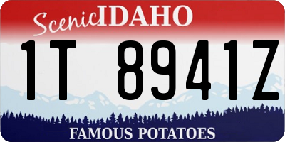 ID license plate 1T8941Z