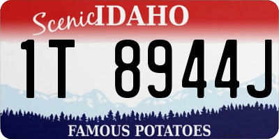 ID license plate 1T8944J