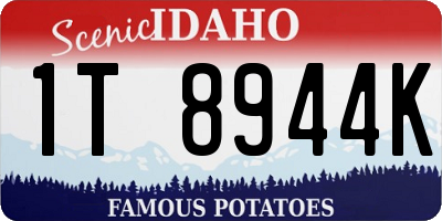 ID license plate 1T8944K