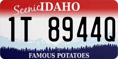 ID license plate 1T8944Q