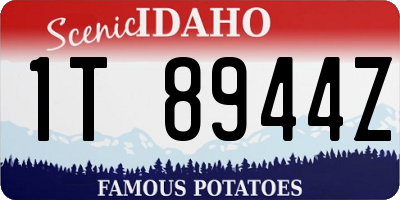 ID license plate 1T8944Z