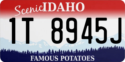 ID license plate 1T8945J