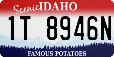 ID license plate 1T8946N