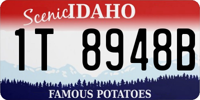ID license plate 1T8948B