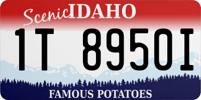 ID license plate 1T8950I