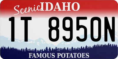 ID license plate 1T8950N