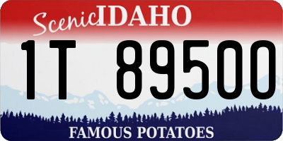 ID license plate 1T8950O