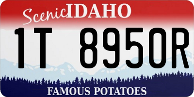 ID license plate 1T8950R