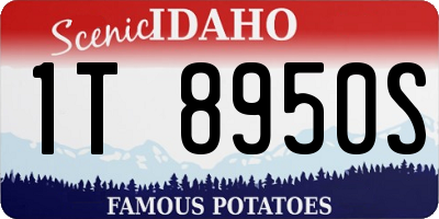 ID license plate 1T8950S