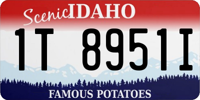 ID license plate 1T8951I