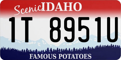ID license plate 1T8951U