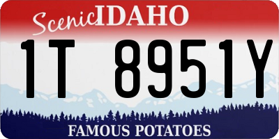 ID license plate 1T8951Y