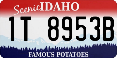 ID license plate 1T8953B
