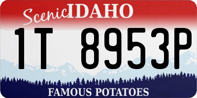 ID license plate 1T8953P