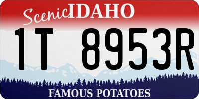 ID license plate 1T8953R