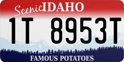 ID license plate 1T8953T