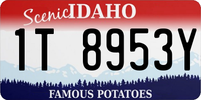 ID license plate 1T8953Y