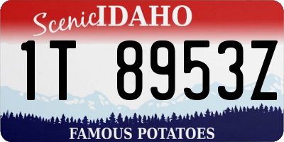 ID license plate 1T8953Z