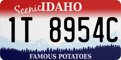 ID license plate 1T8954C