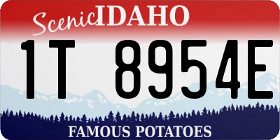ID license plate 1T8954E